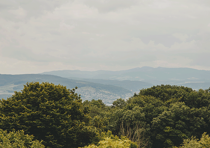 natur und nah Chrischonaberg