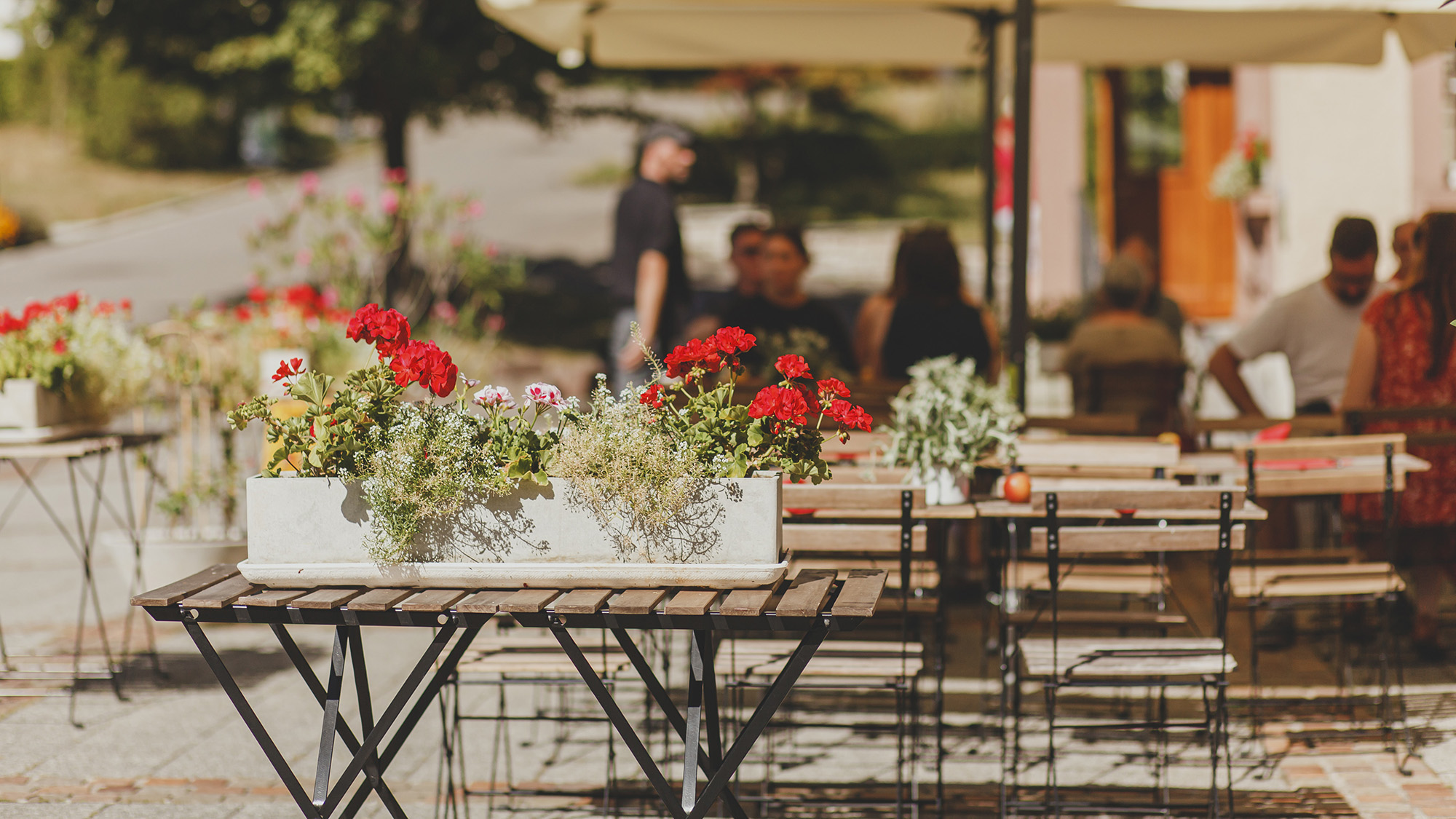 Outdoor Brunch